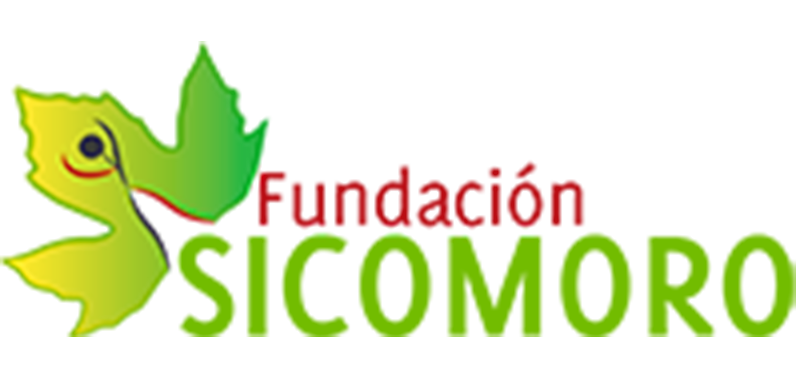 logo fundacion sicomoro 2